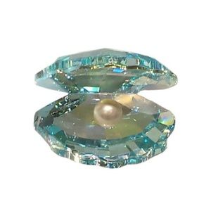 Meet your Posher, Ceviyn